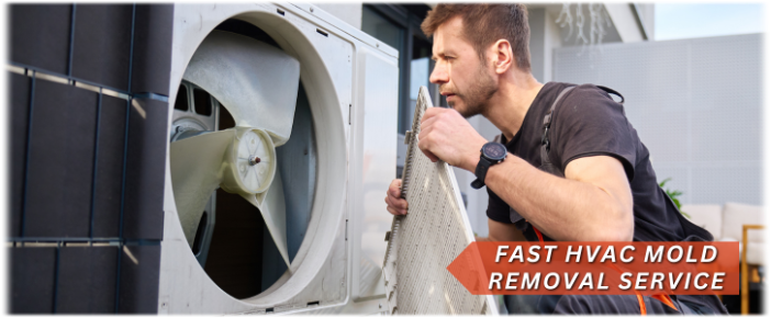 HVAC Mold Removal Cherry Hill